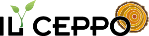 Logo Aesontius